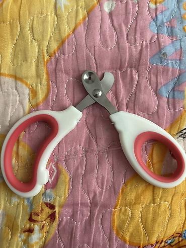 haski balasi satisi: Ev heyvanları üçün baxım dəsti - Tük darağı: Geniş başlıqlı — 4