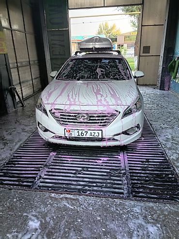 соната двер: Hyundai Sonata: 2018 г., 2 л, Автомат, Газ, Седан — 4