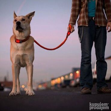 Dodaci za bicikl: Malo ali jako! Dimenzije: 6x3x2cmLED crveno svetlo za bicikl za na lalafo.rs — 8 Dodaci za bicikl: Malo ali jako! Dimenzije: 6x3x2cmLED crveno svetlo za bicikl za — 8