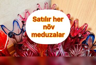 servizler cehizlik qablar: Satılır her növ meduzalar maqazadan Çox ucuz hamsı teze esl cehizlik