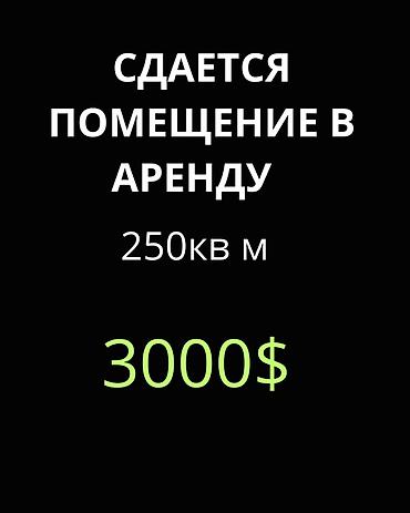 Аренда коммерческой недвижимости: Сдается помещение в аренду. Площадь: 250 кв. м Стоимость: 3000 $ — 1