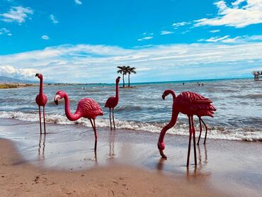 Иссык-Куль 2025: Коттедж, палм бич ЦО Palm Beach, Чок-Тал, Барбекю, Детская площадка, Охраняемая территория — 12