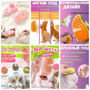 Зоотовары: ПРОДАЮ КОШАЧЬЮ МЯТУ(АНТИСТРЕСС),ПОРАДУЙТЕ СВОГО КОТИКА ТАКОЙ at lalafo.kg — 7 Зоотовары: ПРОДАЮ КОШАЧЬЮ МЯТУ(АНТИСТРЕСС),ПОРАДУЙТЕ СВОГО КОТИКА ТАКОЙ — 7