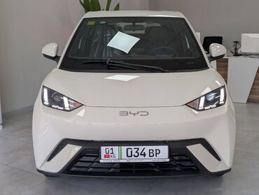 электромобиль neta: BYD SEAGULL 2025 г.в. новый автомобиль, отличная комплектация. Без