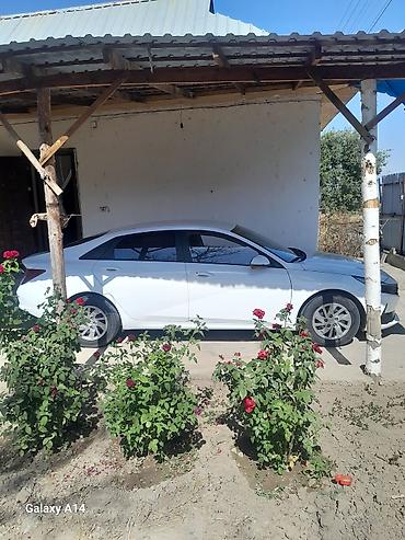кио к5: Hyundai Avante: 2022 г., 1.6 л, Автомат, Бензин, Седан — 4