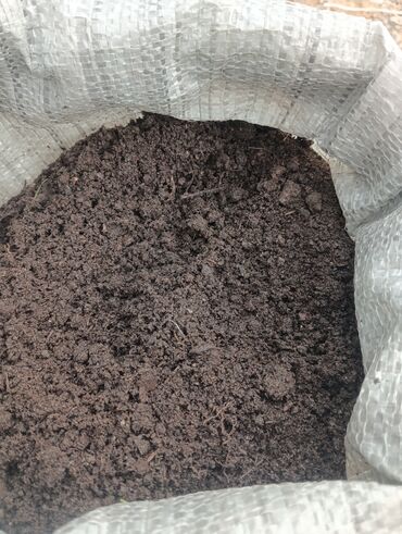 Toxumlar: Torflarin satişi balaken ekolay kkokavit 250litrlik xaricden gelen — 15