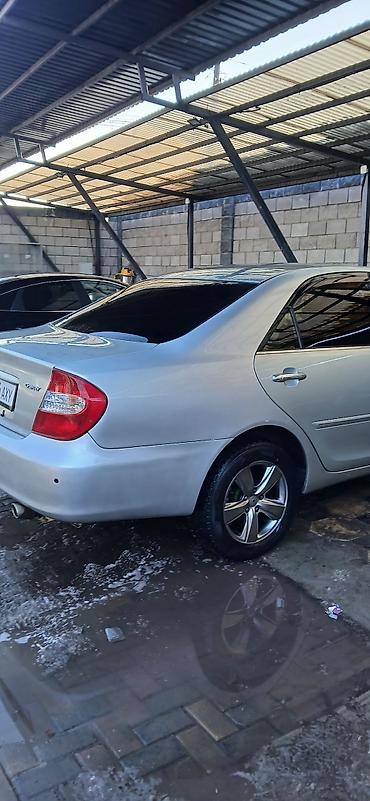 Toyota: Toyota Camry: 2003 г., 2.4 л, Автомат, Бензин, Седан at lalafo.kg — 1 Toyota: Toyota Camry: 2003 г., 2.4 л, Автомат, Бензин, Седан — 1