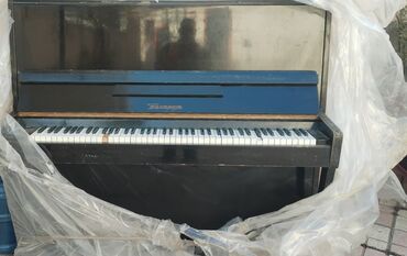 пианино сколько стоит: Musiqi aləti. Pionino