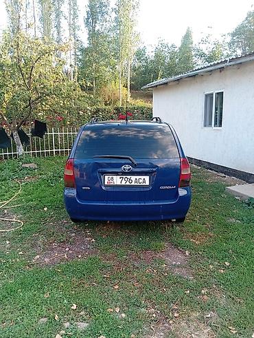карола универсал: Toyota Corolla: 2003 г., 1.4 л, Механика, Бензин, Универсал — 7