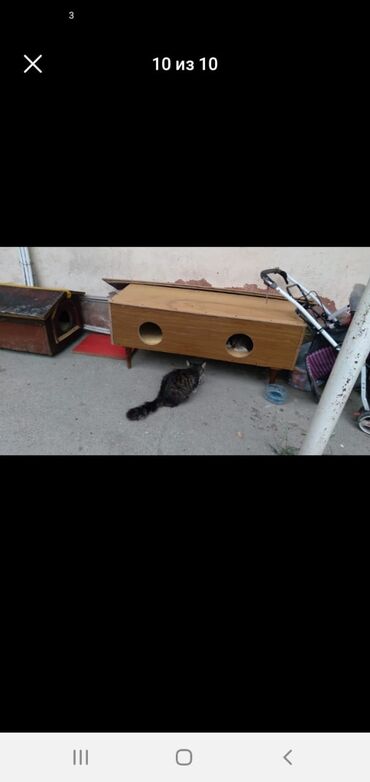 Yuvalar: DOMiKİ DLYA KOŞEK i SOBAK — 9