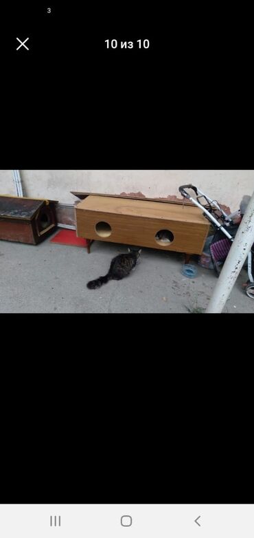 Yuvalar: Rəngli taxta heyvan evi/budaq evciyi - Material: taxta konstruksiya — 6