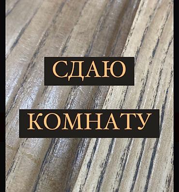 кошка жалал абад: Сдаю комнату в 3х комнатной квартире с отличным ремонтом и всеми — 1