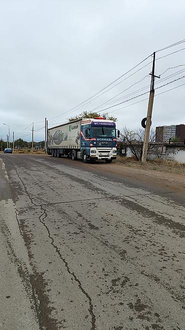 Тягачи: Тягач, MAN, 2005 г., Шторный — 3