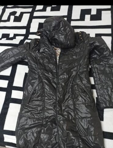 скоттиш фолд шотландская вислоухая кошка: Меняю каждую на 3кг стирального порошка Тайд размеры М, Остин