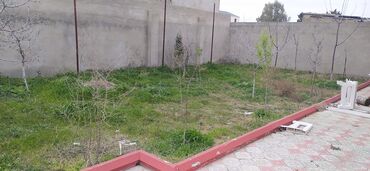 Bağ evlərinin satışı: Bakı, Nardaran qəs., 4 kv. m, 4 otaqlı, Hovuzlu, Su, İşıq, Artezian quyusu — 16