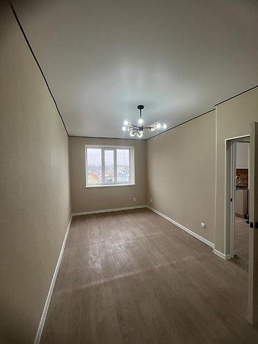 Продажа квартир: 1 комната, 33 м², Индивидуалка, 4 этаж, Евроремонт — 9