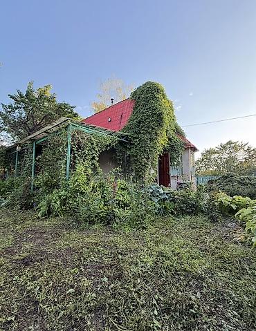🏡Продается дача в Горной Маявке (ООС Магисталь). Удобный заезд — 4