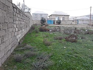 Torpaq sahələrinin satışı: 6 sot, Makler — 7