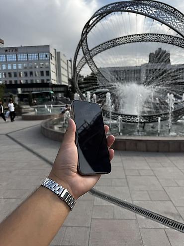 списанная техника эпл: IPhone 16 Pro Max, Б/у, 256 ГБ, Desert Titanium, Зарядное устройство, Защитное стекло, Чехол, 90 % — 5