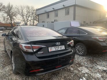 Hyundai: Hyundai Sonata: 2018 г., 2 л, Типтроник, Гибрид, Седан