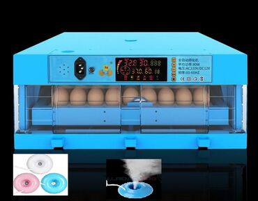 İnkubatorlar: 100 yumurta, Çin, Fabrik istehsalı, Tam avtomat, Bütün növ quşlaq üçün