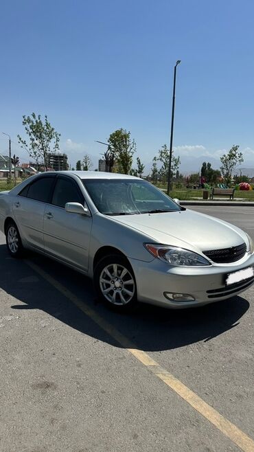 амортизаторы тойота камри: Toyota Camry: 2003 г., 0.3 - engine capacity л, Автоматтык, Газ, Седан