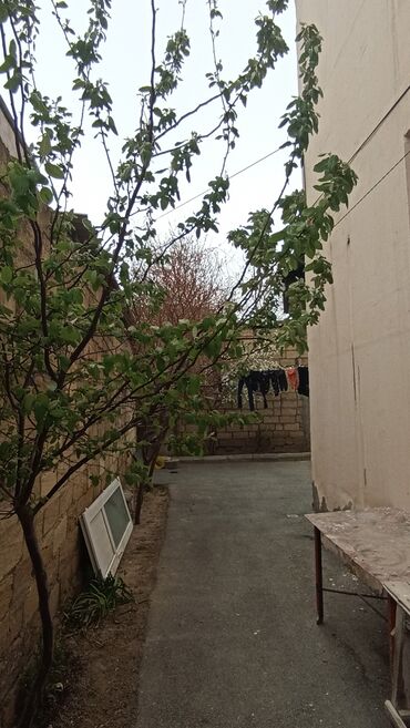 Köhnə tikili: Xırdalan, 3 otaqlı, Köhnə tikili, 75 kv. m -da lalafo.az — 25 Köhnə tikili: Xırdalan, 3 otaqlı, Köhnə tikili, 75 kv. m — 25