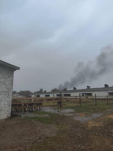 Продажа сельхоз предприятий: Ферма КРС, 800 соток, Действующий, Частично с оборудованием, Скважина, Холодная вода, Электричество — 2