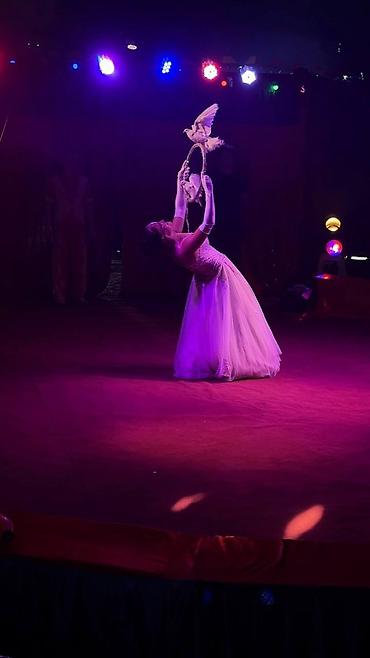 Организация мероприятий: Организация мероприятий | Аниматоры — 11