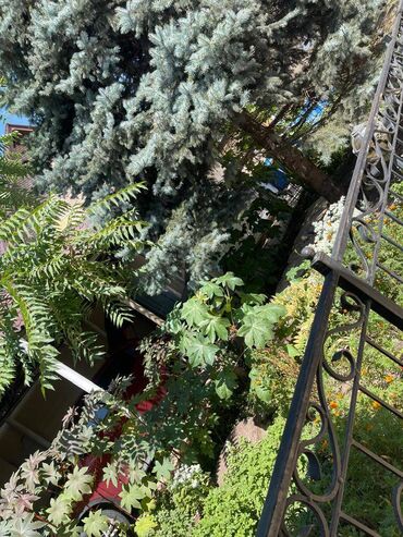 Продажа домов: Дом, 184 м², 6 комнат, Агентство недвижимости