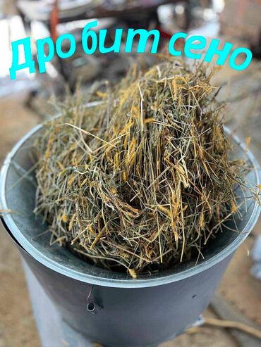 Кормодробилки: Дробилки ☑️ Мульти дробилки 3 в одном 🌾 ☑️ Сенорезка ☑️ Зернорезка — 10