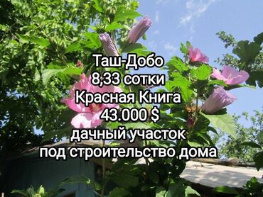 продается жилой дом с большим участкам в село кунтуу: 8 соток, Для строительства, Красная книга