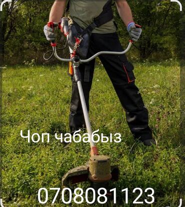 режим 7 а: IPhone 16e 🍏