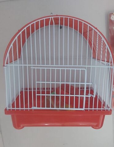 qus qefesi: Salam.Ağ qırmızı Hamster cunqarik qəfəsi heç bir problemi yoxdur yaxşı