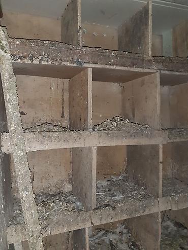 Quş yuvaları və kiçik quşxana - Material: taxta karkas, arakəsməli