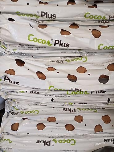вата тытуу: Кокосовые маты для выращивания Coco Plus - Готовые к использованию — 1
