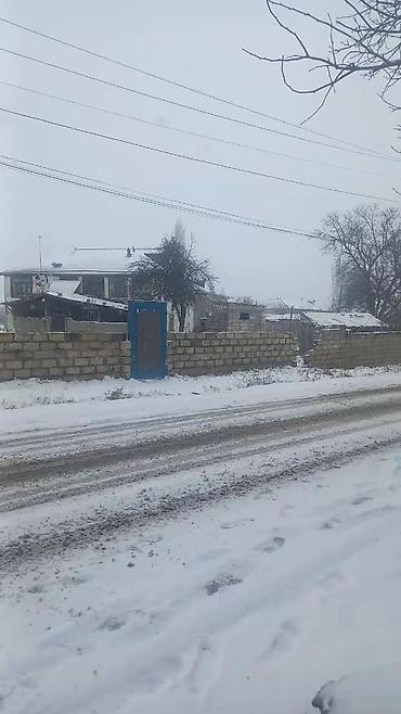 Torpaq sahələrinin satışı: 65 sot, Kənd təsərrüfatı — 6