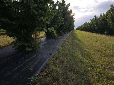 Baštenski alati i oprema: 1,5mx100m- Agrotekstil-Premium-CENA JE SA DOSTAVOM, nemate nikakve — 8