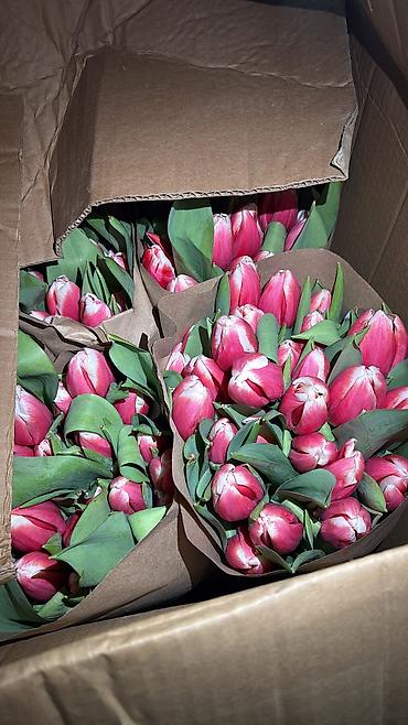 Букеты из живых цветов: 🌷🌷🌷*Дорогие покупатели!*🌷🌷🌷 • Кто хочет порадовать и поздравить своих — 2