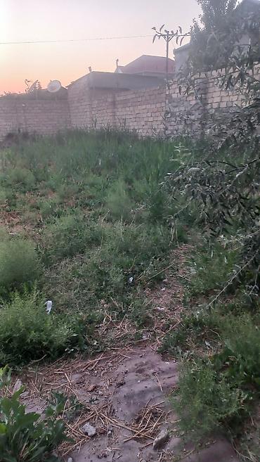 bağca satılır: Bakı, Əhmədli, 5 kv. m, 1 otaqlı, Hovuzsuz — 4