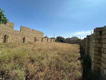 Torpaq sahələrinin satışı: 3 sot, Kənd təsərrüfatı, Mülkiyyətçi, Kupça (Çıxarış) -da lalafo.az — 5 Torpaq sahələrinin satışı: 3 sot, Kənd təsərrüfatı, Mülkiyyətçi, Kupça (Çıxarış) — 5