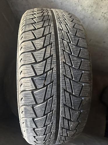 шипы для шины: Nankang SV-1 205/50 R17 93 T Зимняя шина (нешипованная) - Тип — 1