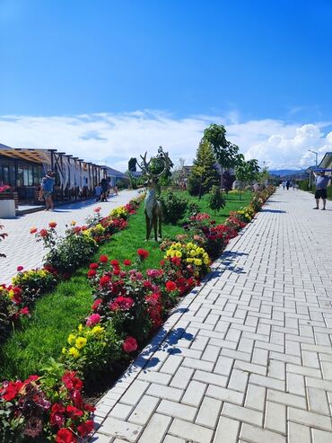 Иссык-Куль 2025: Коттедж, Палм Бич ЦО Palm Beach, Чок-Тал, Барбекю, Баскетбольная площадка, Батут — 25