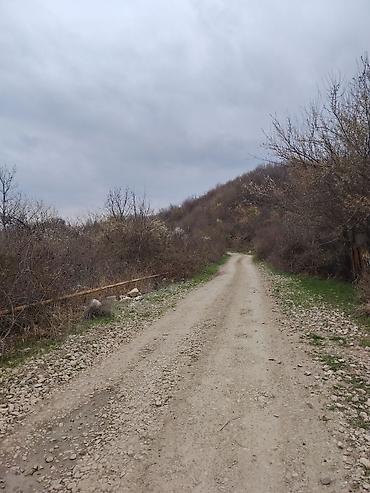 goy golde ucuz satılan evler: 14 sot, Tikinti, Barter mümkündür, Bələdiyyə — 4