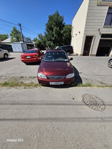 kia джип: Kia Spectra: 2006 г., 1.6 л, Механика, Бензин, Седан