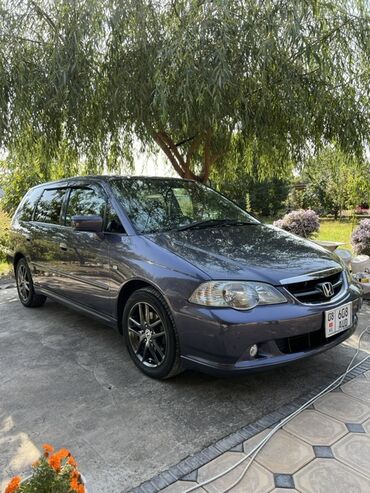 полированная машина: Honda Odyssey: 2002 г., 3 л, Автомат, Бензин, Минивэн