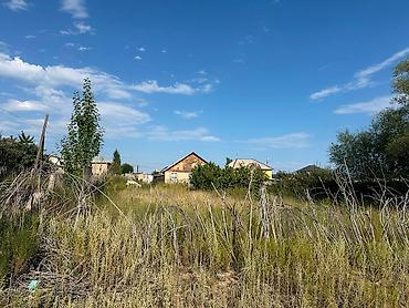 10 соток, Курулуш, Кызыл китеп, Сатып алуу-сатуу келишими — 5