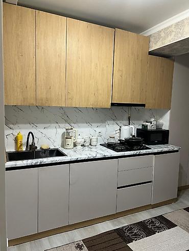 караен: 1 комната, 43 м², Кок-Жар ж/м Элитка, 3 этаж, Евроремонт — 3