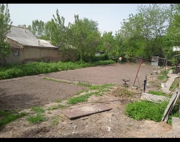ак туз: 5 соток, Курулуш, Кызыл китеп