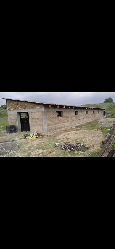 Строительство под ключ: Больше 6 лет опыта — 9